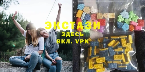 хмурый Алексин