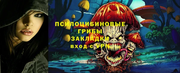 хмурый Алексин