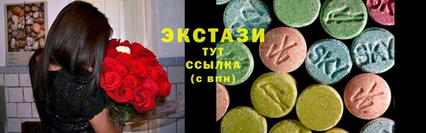 хмурый Алексин